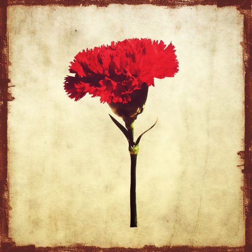 45 Times Freedom – Celebration of 45 years of Freedom and Democracy