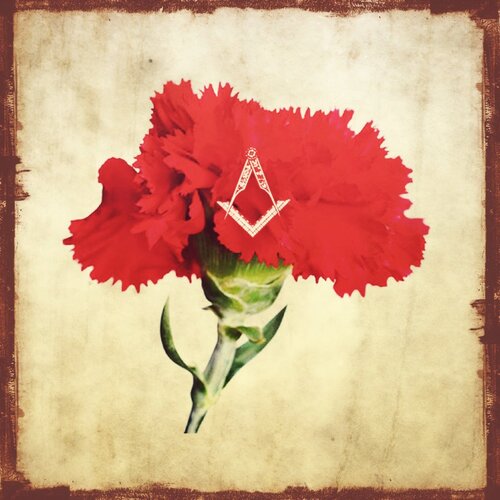 46 Anos de Liberdade