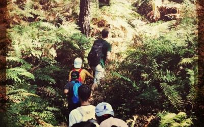 Soberana promove a Educação Ambiental