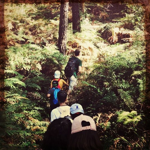 Sovereign Promotes Environmental Education