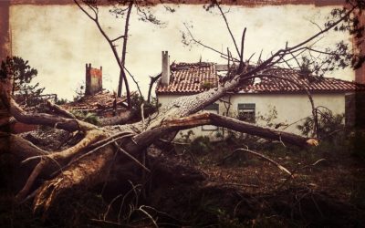 A Soberana apoia em força as vítima das tempestades